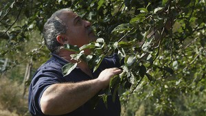 Sidrería Urbitarte Sagardotegia Foto